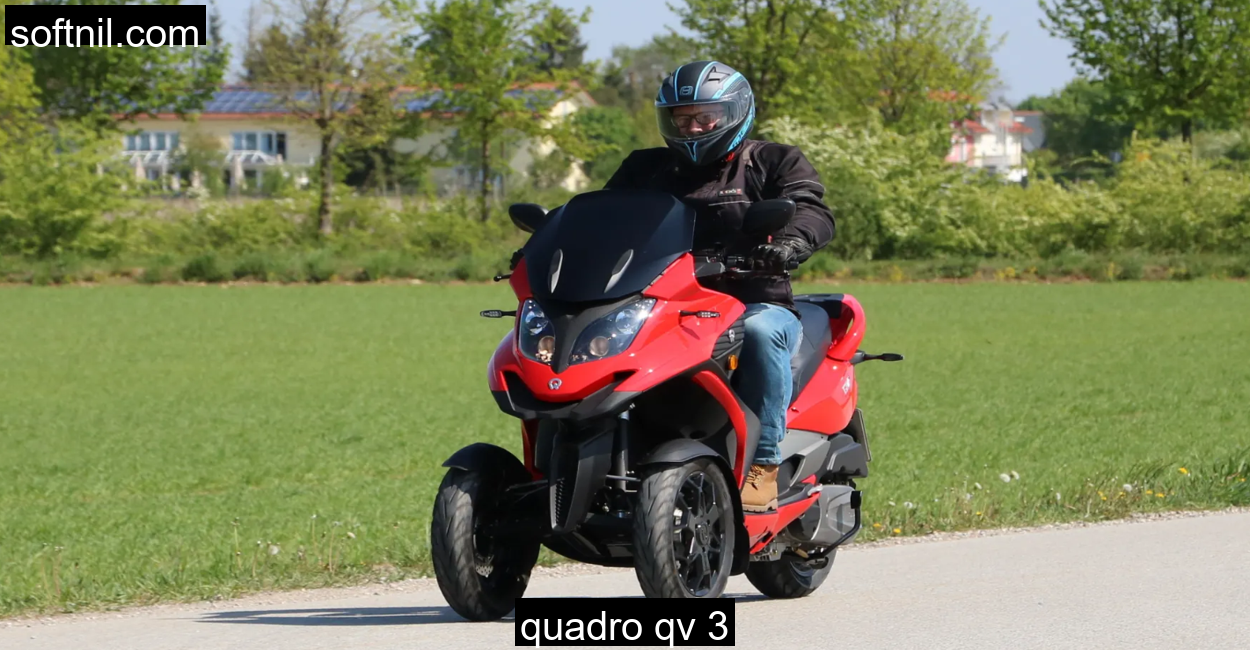 quadro-qv-3